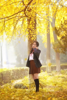 Late Autumn Story