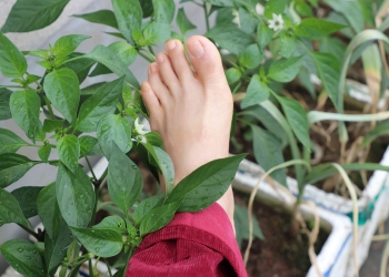 My barefoot shooting