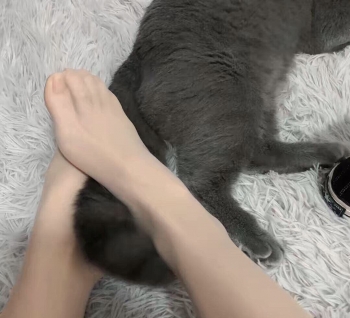 Beautiful Legs