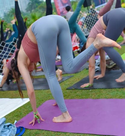 Korean Yoga Conference Beauty No.1