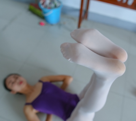 Little Purple ElfDance Diary