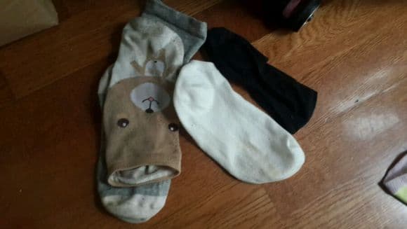 Wow, So Many Socks!