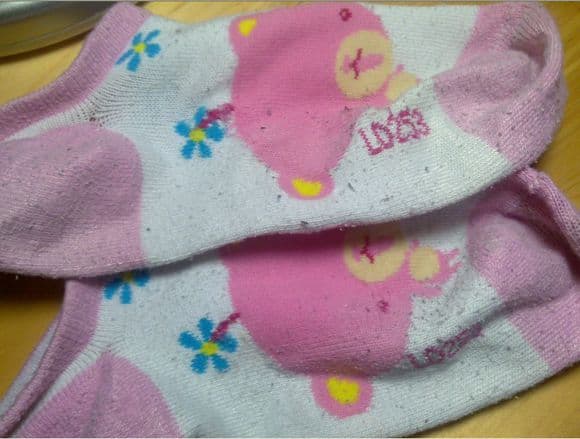 Some cotton socks I've worn for a long time, featuring cartoon bears