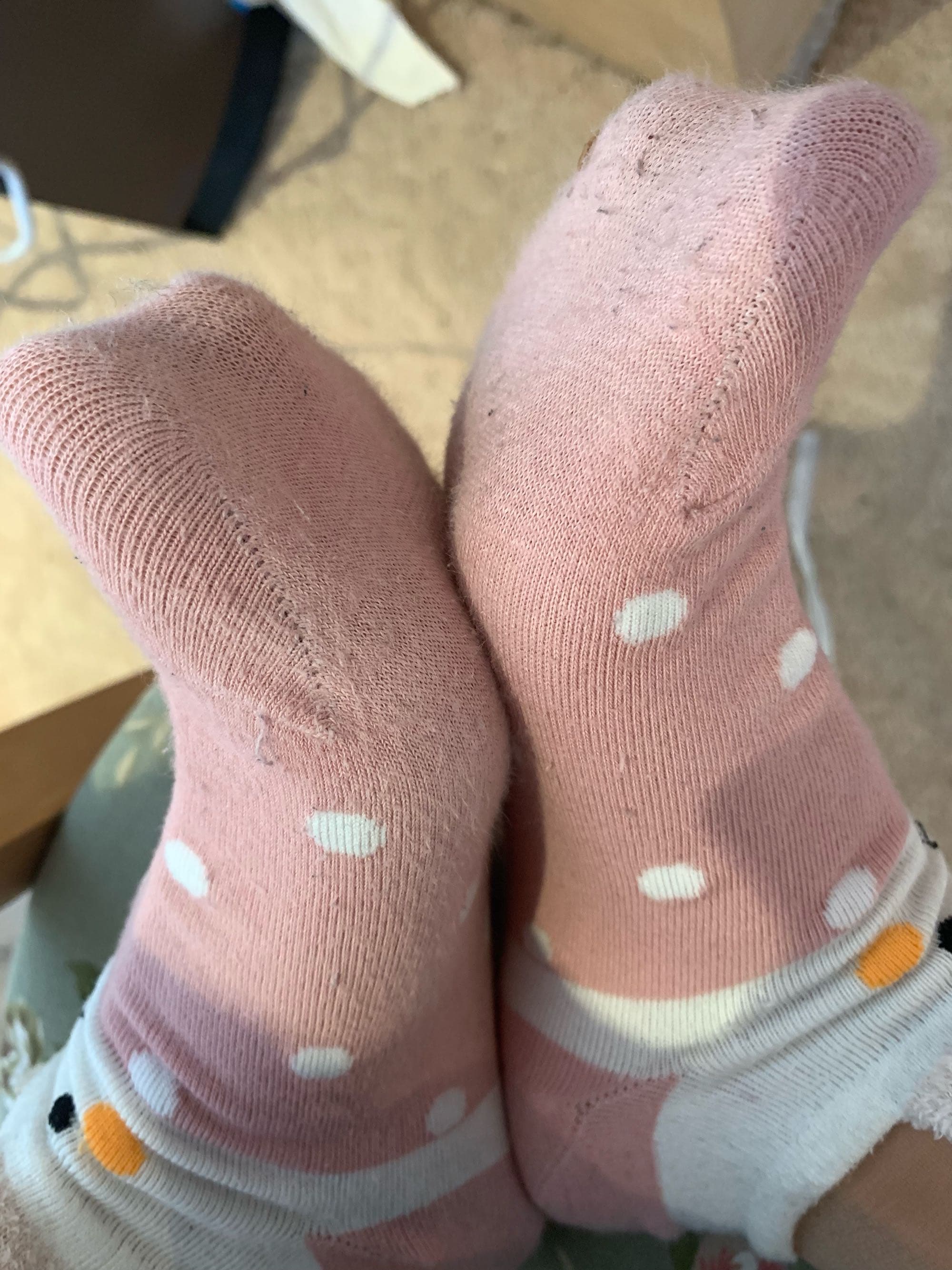 Glint of nylon on curved arch