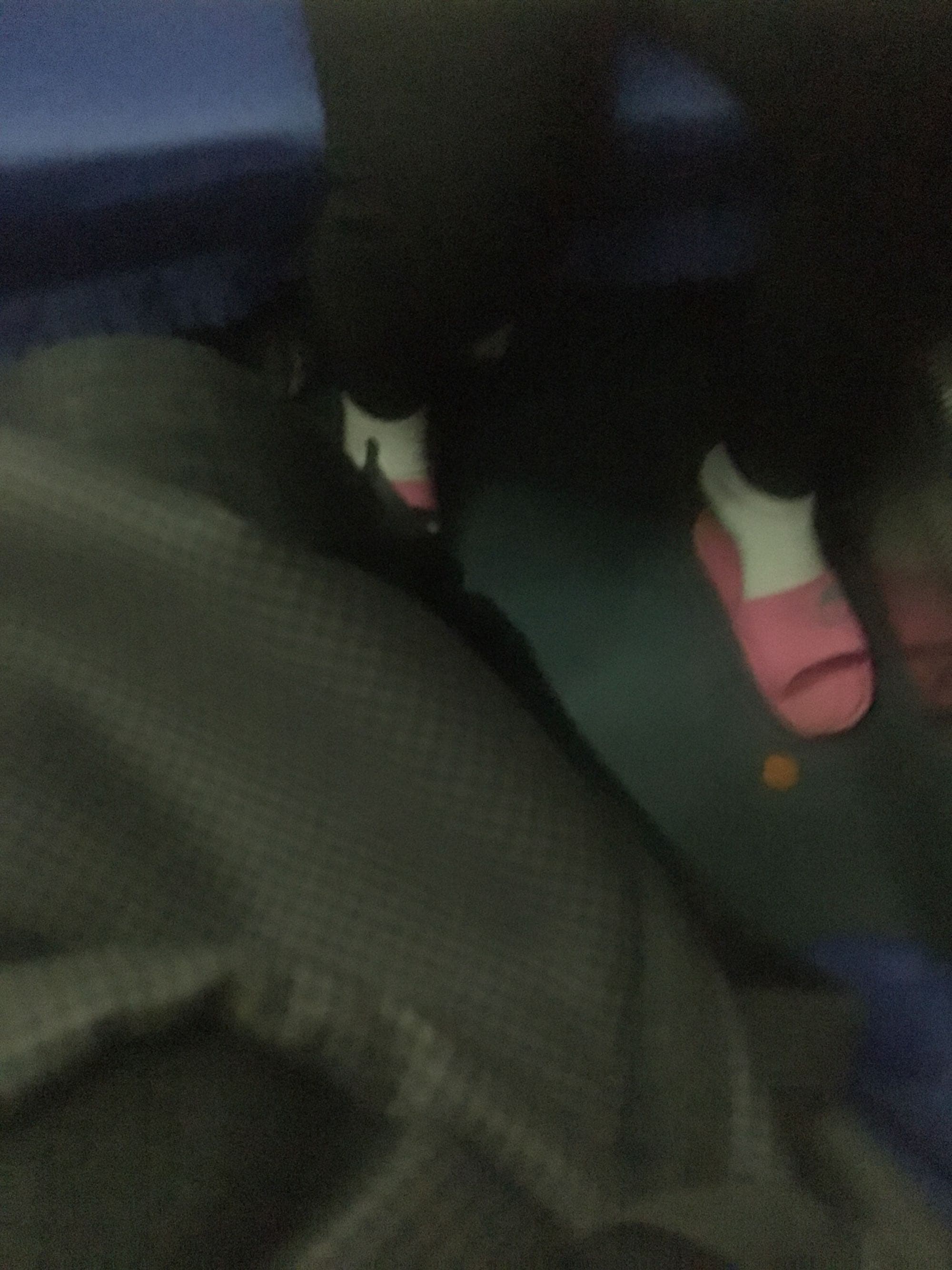 White cotton socks on ankles