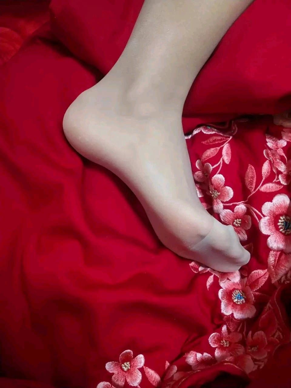 Sheer stockings draping a graceful foot