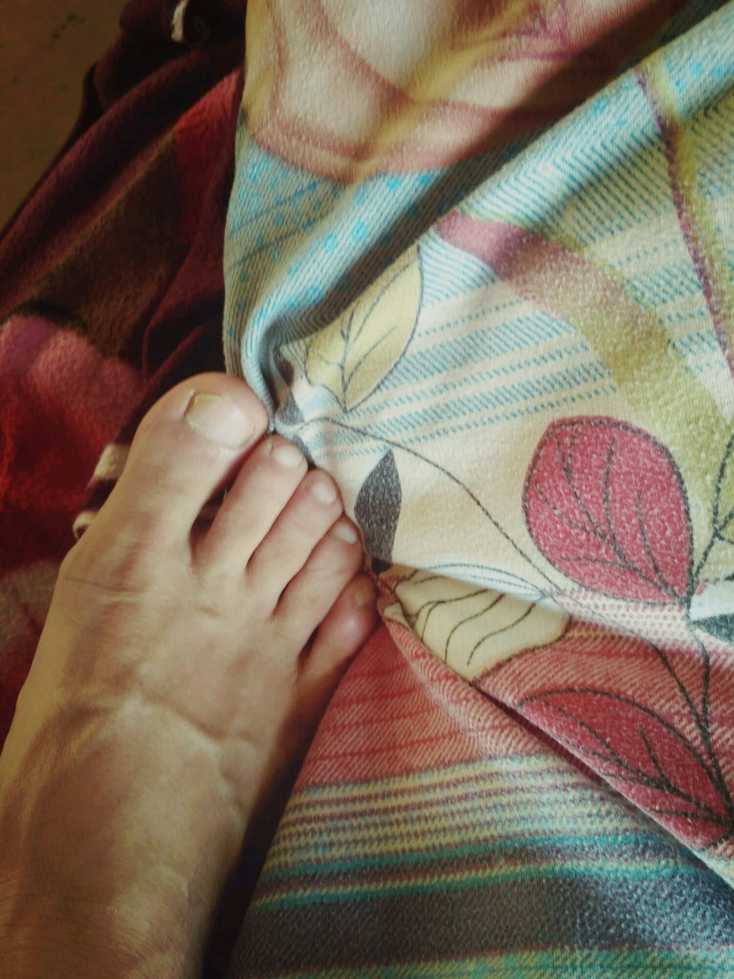 Close-up of bare feet in sheer black nylons, toes curled slightly, ankle exposed, soft studio lighting accentuating silky texture
