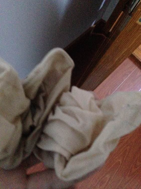 short socks on pale ankles