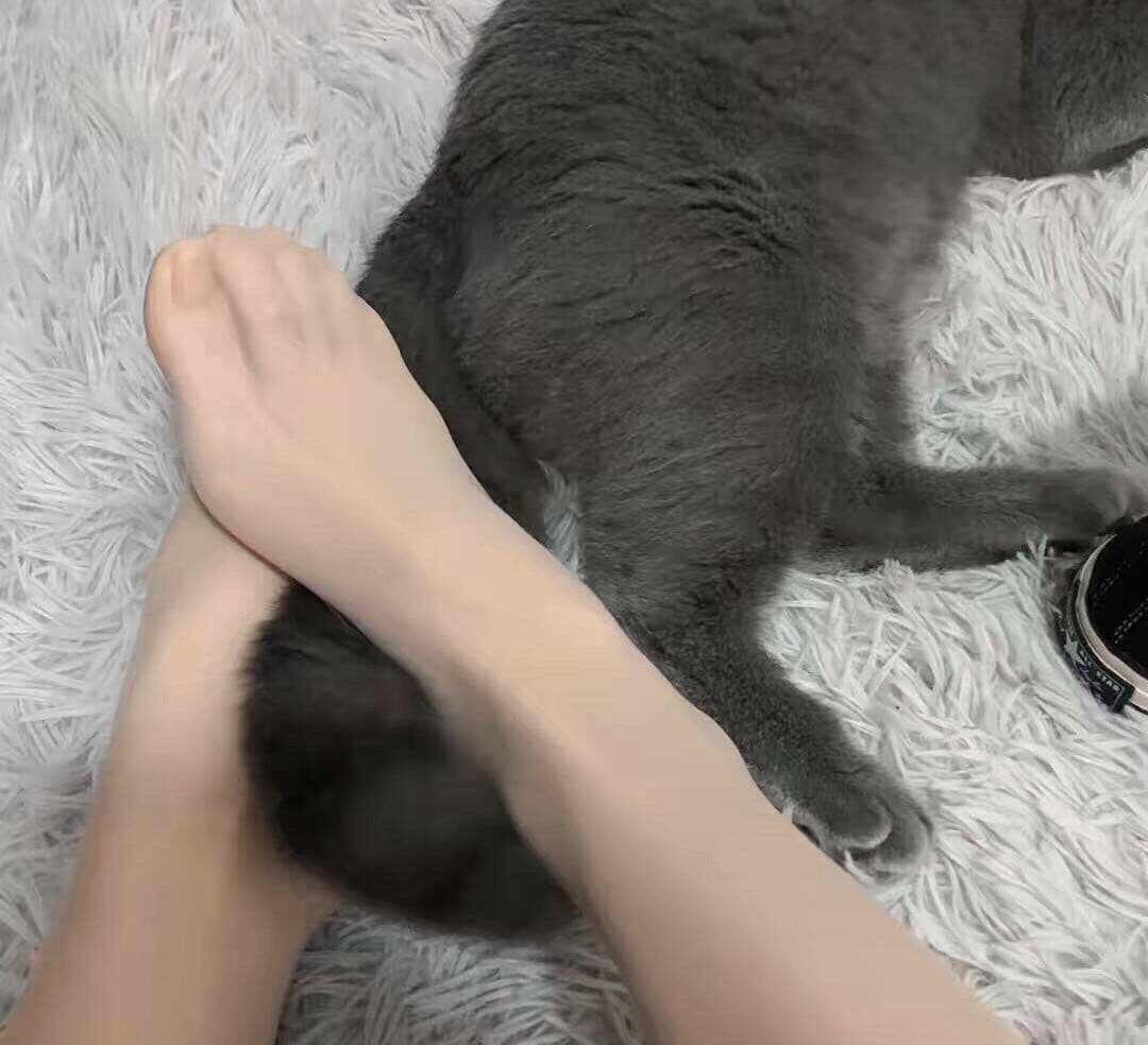 silky nylons on graceful legs