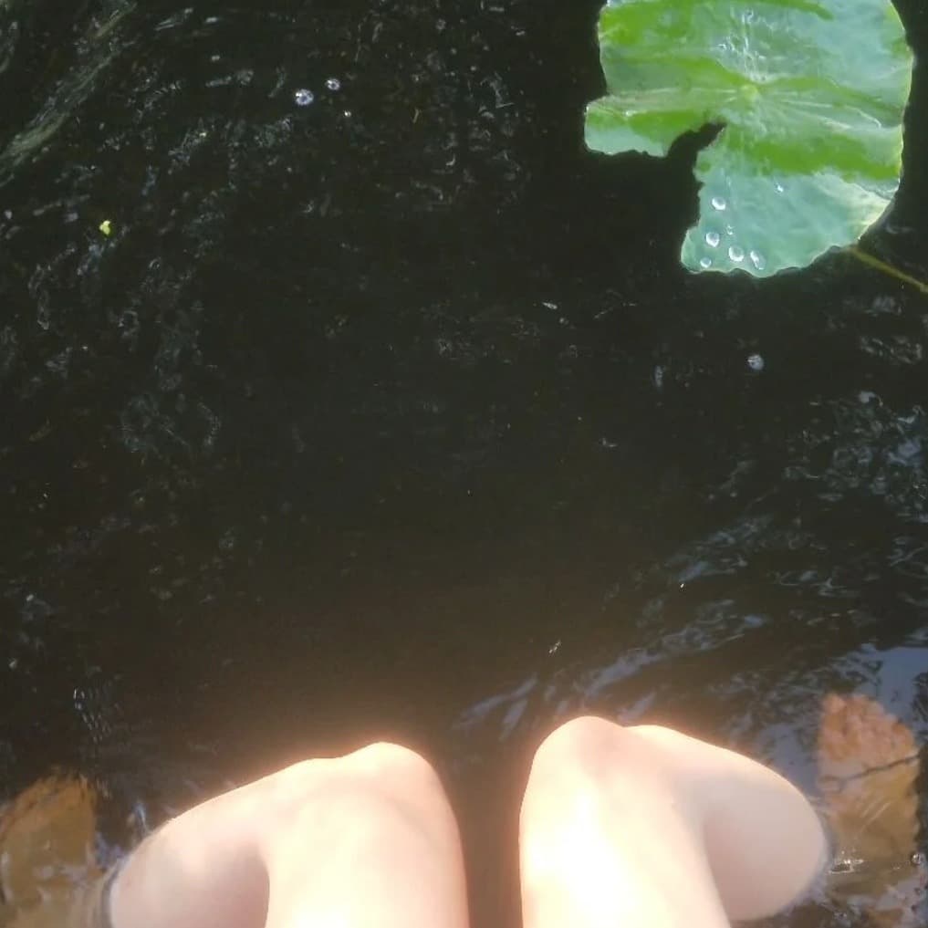 worn cotton socks closeup